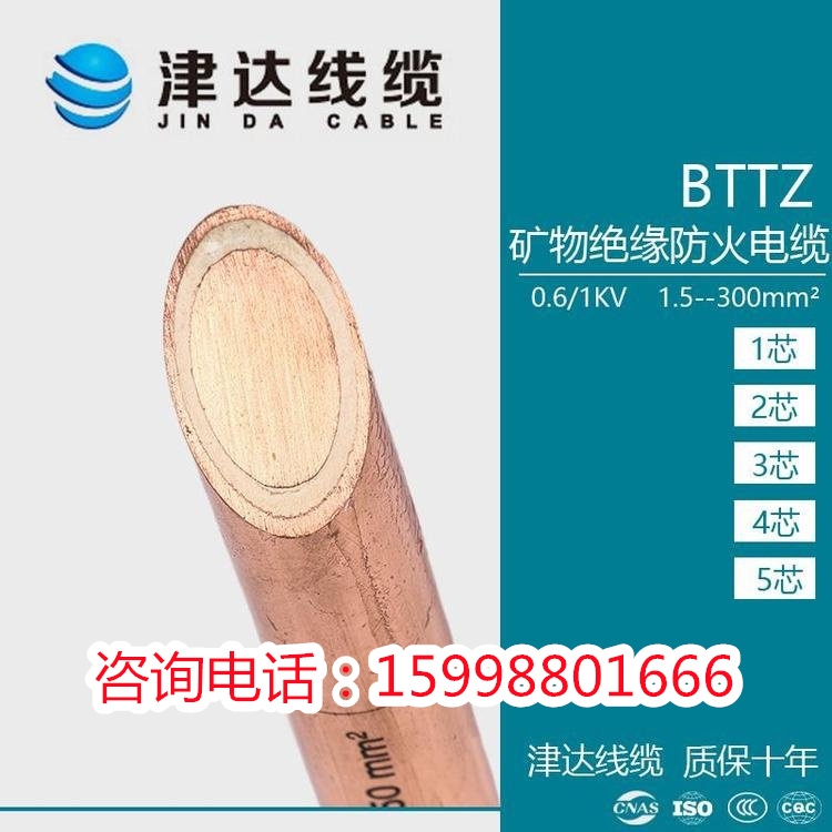 特种电缆 BTTZ 3*25 津达线缆  广泛应用